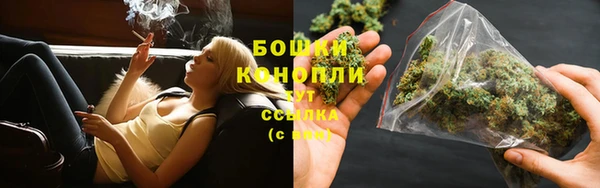 гашик Магас
