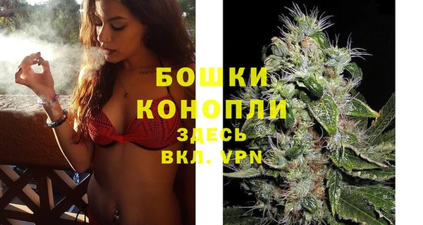 гашик Магас