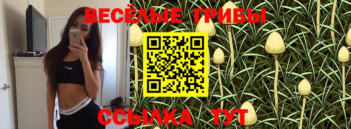 Псилоцибиновые грибы мицелий  где можно купить наркотик  Шебекино 