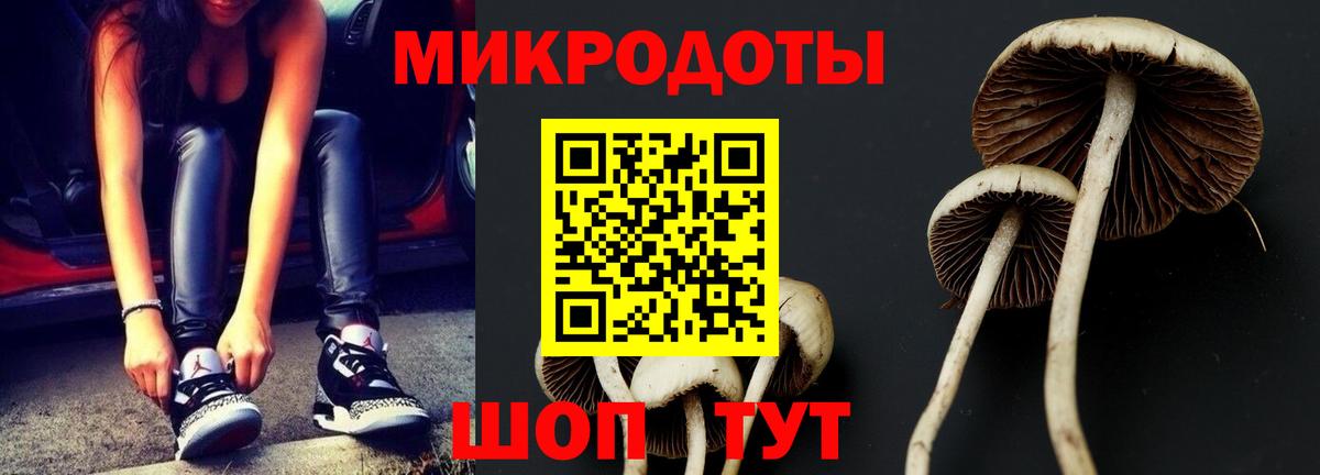 Псилоцибиновые грибы ЛСД Шебекино